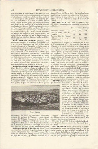 LAMINA ESPASA 34494: Vista de Betania, Palestina