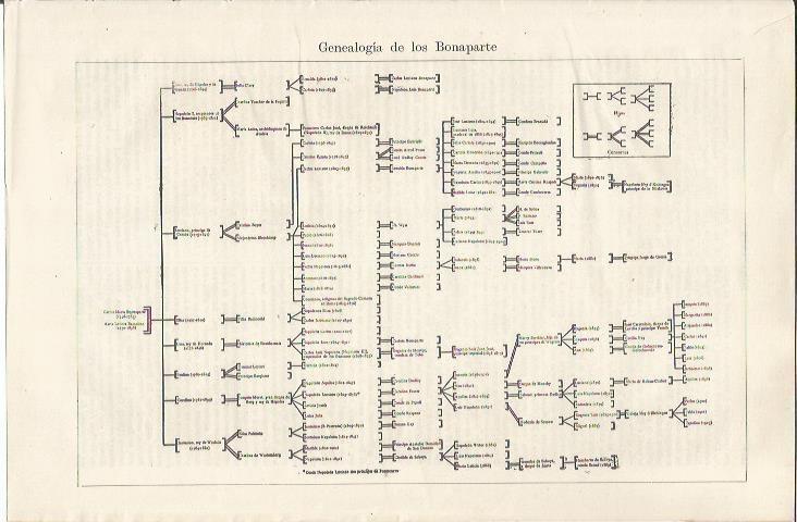 LAMINA ESPASA 34659: Genealogia de los Bonaparte