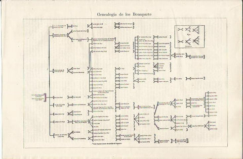 LAMINA ESPASA 34659: Genealogia de los Bonaparte