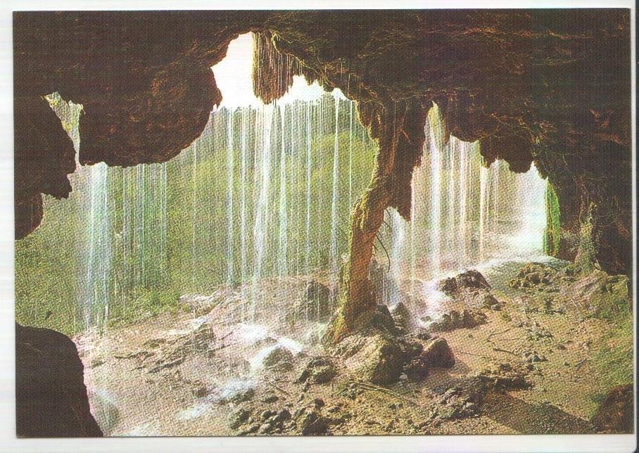 Postal JC0240: Cuenca. Nacimiento del Rio Cuervo y Arbol Fosil