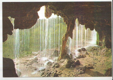 Postal JC0240: Cuenca. Nacimiento del Rio Cuervo y Arbol Fosil