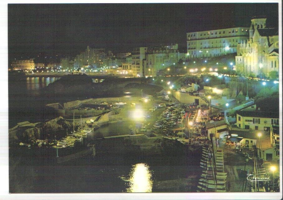 Postal JC0256: Biarritz. Le Port des Pecheurs, dans le fond: le Victoria Surf et l'Hotel du Palais