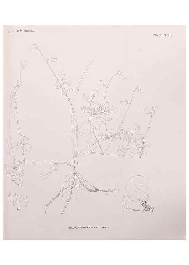Reproducción/Reproduction 49798737773: Publication.. Chicago. :Field Columbian Museum,1895-1909.. 