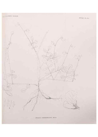 Reproducción/Reproduction 49798737773: Publication.. Chicago. :Field Columbian Museum,1895-1909.. 