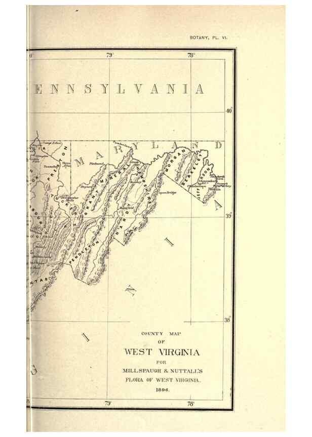 Reproducción/Reproduction 49798534908: Flora of West Virginia,. Chicago,1896.. 