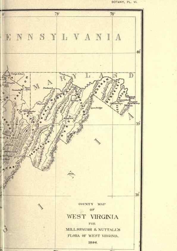 Reproducción/Reproduction 49798534908: Flora of West Virginia,. Chicago,1896.. 