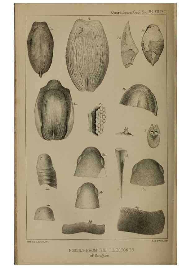 Reproducción/Reproduction 49805027023: The Quarterly journal of the Geological Society of London.. London [etc.]. 