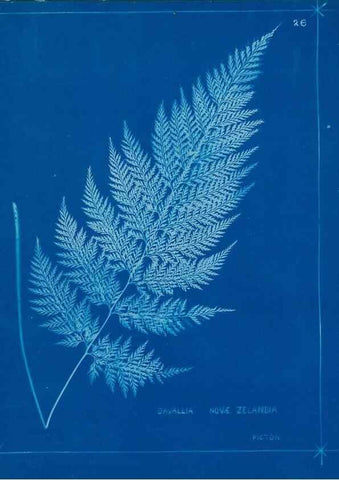 Reproducción/Reproduction 49805932766: [New Zealand ferns]. Auckland, New ZealandDobbie, H. B.1880. 