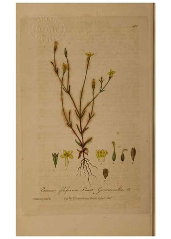 Reproducción/Reproduction 49787618668: British phaenogamous botany,. Oxford,Published by the author, sold by J.H. Parker [etc.]1834-43.. 