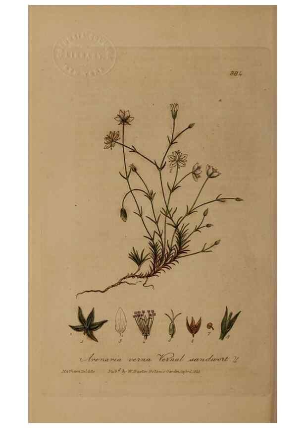 Reproducción/Reproduction 49788475357: British phaenogamous botany,. Oxford,Published by the author, sold by J.H. Parker [etc.]1834-43.. 