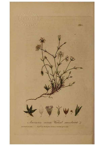 Reproducción/Reproduction 49788475357: British phaenogamous botany,. Oxford,Published by the author, sold by J.H. Parker [etc.]1834-43.. 