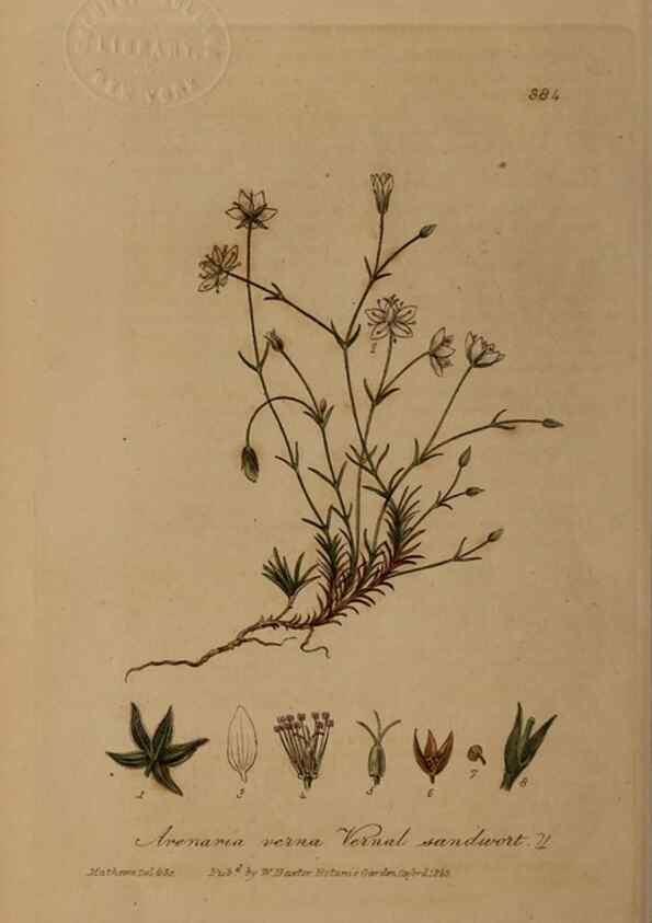 Reproducción/Reproduction 49788475357: British phaenogamous botany,. Oxford,Published by the author, sold by J.H. Parker [etc.]1834-43.. 