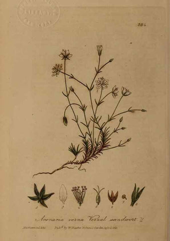 Reproducción/Reproduction 49788475357: British phaenogamous botany,. Oxford,Published by the author, sold by J.H. Parker [etc.]1834-43.. 