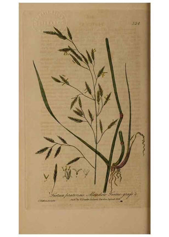 Reproducción/Reproduction 49788142896: British phaenogamous botany,. Oxford,Published by the author, sold by J.H. Parker [etc.]1834-43.. 