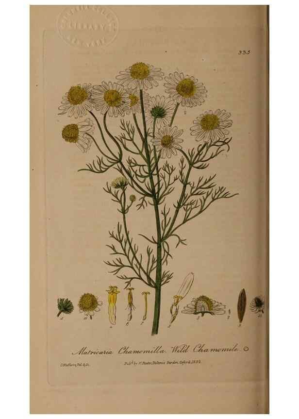 Reproducción/Reproduction 49787604583: British phaenogamous botany,. Oxford,Published by the author, sold by J.H. Parker [etc.]1834-43.. 