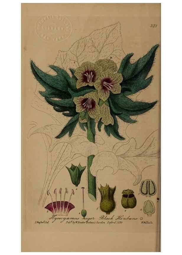 Reproducción/Reproduction 49788142341: British phaenogamous botany,. Oxford,Published by the author, sold by J.H. Parker [etc.]1834-43.. 