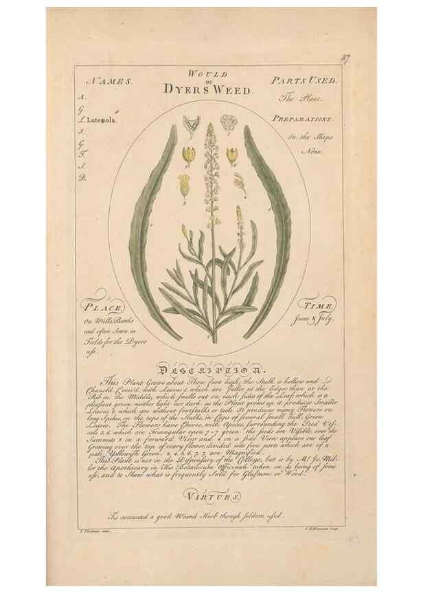 Reproducción/Reproduction 49788406957: Botanicum medicinale :. London :Printed for J. Millan, opposite the Admiralty, Whitehall,[1768?]. 