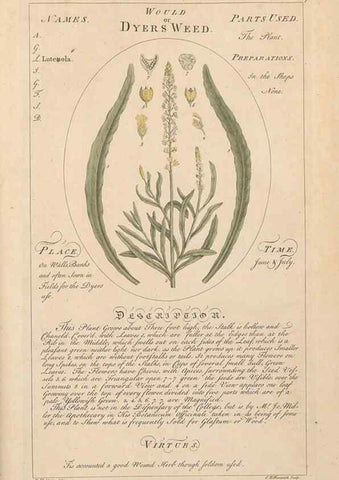 Reproducción/Reproduction 49788406957: Botanicum medicinale :. London :Printed for J. Millan, opposite the Admiralty, Whitehall,[1768?]. 