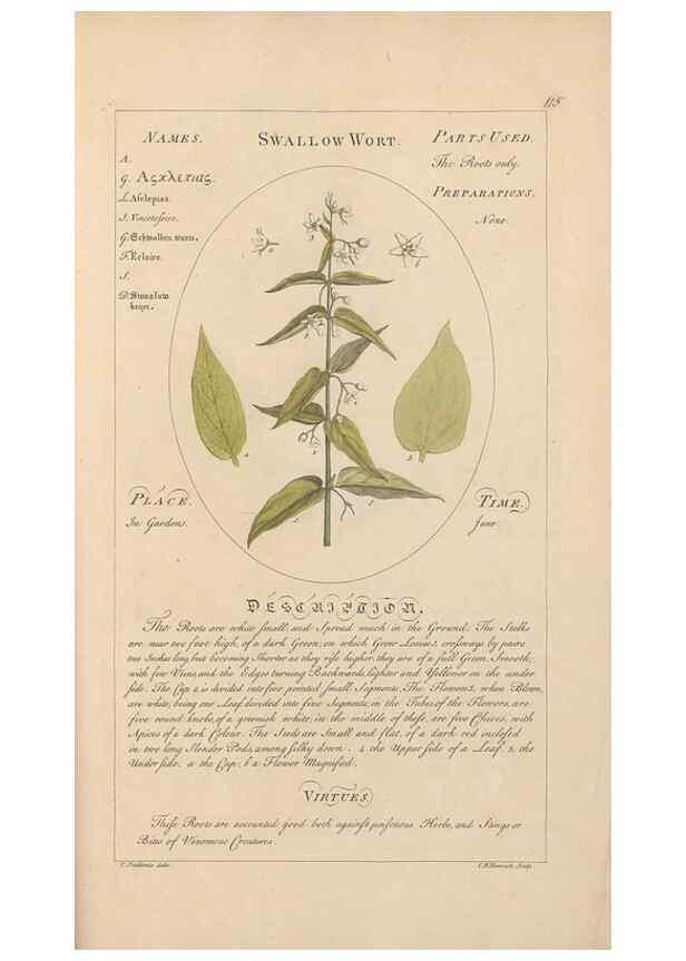 Reproducción/Reproduction 49788086396: Botanicum medicinale :. London :Printed for J. Millan, opposite the Admiralty, Whitehall,[1768?]. 
