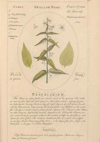 Reproducción/Reproduction 49788086396: Botanicum medicinale :. London :Printed for J. Millan, opposite the Admiralty, Whitehall,[1768?]. 