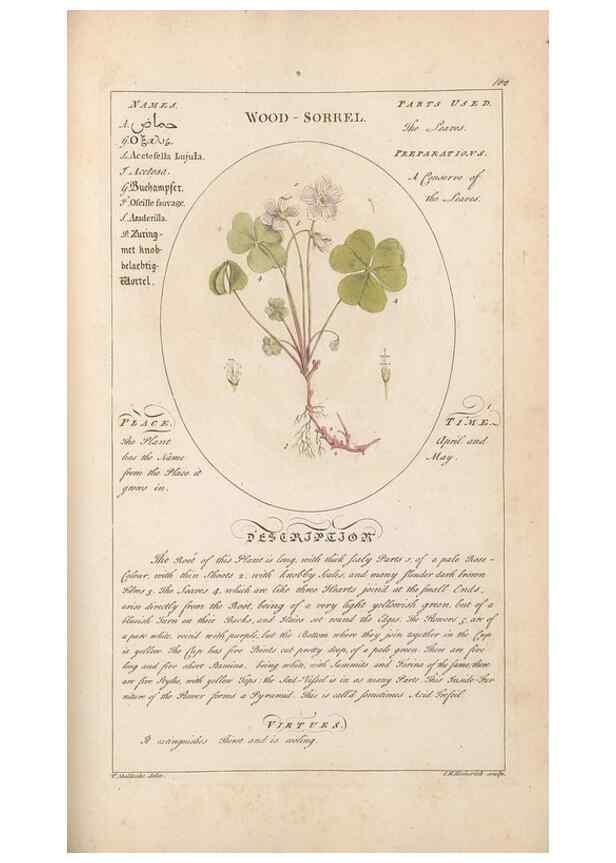 Reproducción/Reproduction 49788083776: Botanicum medicinale :. London :Printed for J. Millan, opposite the Admiralty, Whitehall,[1768?]. 