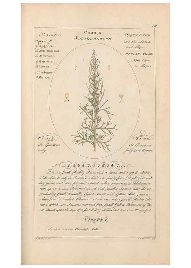 Reproducción/Reproduction 49787543333: Botanicum medicinale :. London :Printed for J. Millan, opposite the Admiralty, Whitehall,[1768?]. 