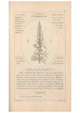 Reproducción/Reproduction 49787543333: Botanicum medicinale :. London :Printed for J. Millan, opposite the Admiralty, Whitehall,[1768?]. 