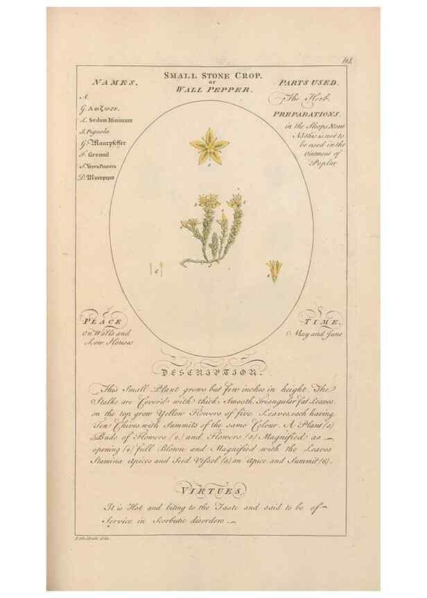 Reproducción/Reproduction 49788084106: Botanicum medicinale :. London :Printed for J. Millan, opposite the Admiralty, Whitehall,[1768?]. 