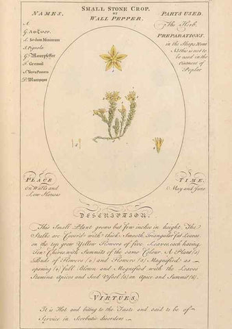 Reproducción/Reproduction 49788084106: Botanicum medicinale :. London :Printed for J. Millan, opposite the Admiralty, Whitehall,[1768?]. 