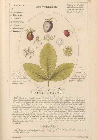 Reproducción/Reproduction 49787543633: Botanicum medicinale :. London :Printed for J. Millan, opposite the Admiralty, Whitehall,[1768?]. 