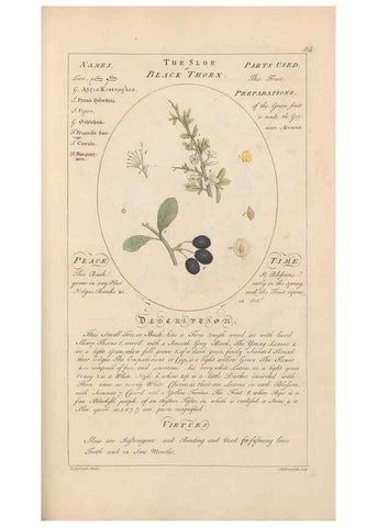Reproducción/Reproduction 49787543838: Botanicum medicinale :. London :Printed for J. Millan, opposite the Admiralty, Whitehall,[1768?]. 