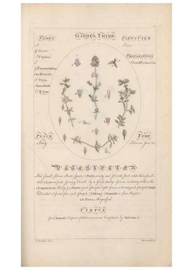 Reproducción/Reproduction 49787544018: Botanicum medicinale :. London :Printed for J. Millan, opposite the Admiralty, Whitehall,[1768?]. 