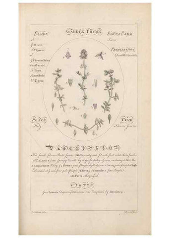 Reproducción/Reproduction 49787544018: Botanicum medicinale :. London :Printed for J. Millan, opposite the Admiralty, Whitehall,[1768?]. 