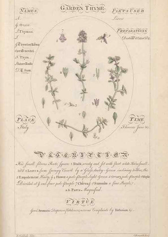 Reproducción/Reproduction 49787544018: Botanicum medicinale :. London :Printed for J. Millan, opposite the Admiralty, Whitehall,[1768?]. 