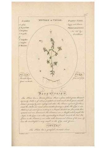 Reproducción/Reproduction 49788084821: Botanicum medicinale :. London :Printed for J. Millan, opposite the Admiralty, Whitehall,[1768?]. 