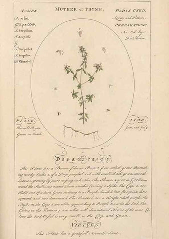 Reproducción/Reproduction 49788084821: Botanicum medicinale :. London :Printed for J. Millan, opposite the Admiralty, Whitehall,[1768?]. 