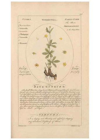 Reproducción/Reproduction 49787544568: Botanicum medicinale :. London :Printed for J. Millan, opposite the Admiralty, Whitehall,[1768?]. 