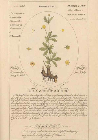 Reproducción/Reproduction 49787544568: Botanicum medicinale :. London :Printed for J. Millan, opposite the Admiralty, Whitehall,[1768?]. 