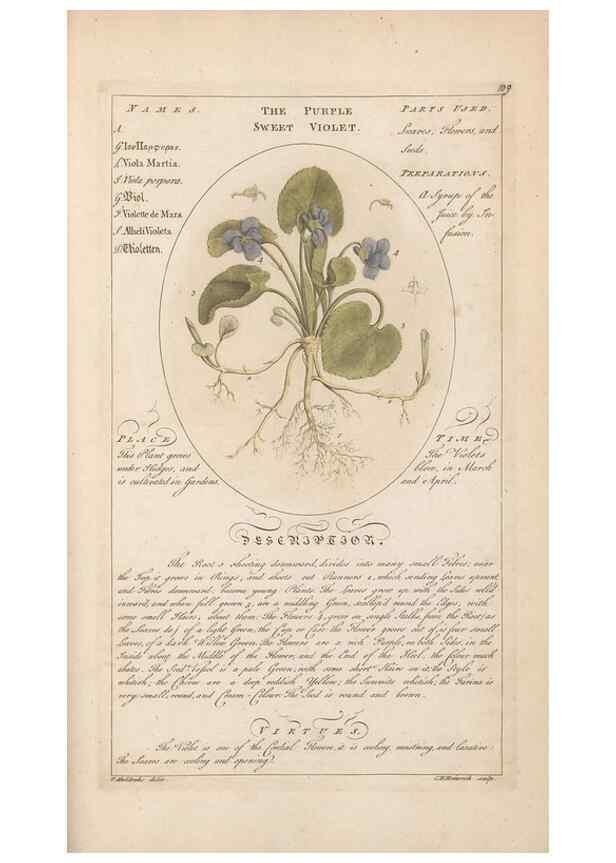 Reproducción/Reproduction 49787544768: Botanicum medicinale :. London :Printed for J. Millan, opposite the Admiralty, Whitehall,[1768?]. 