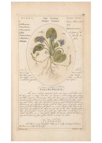 Reproducción/Reproduction 49787544768: Botanicum medicinale :. London :Printed for J. Millan, opposite the Admiralty, Whitehall,[1768?]. 