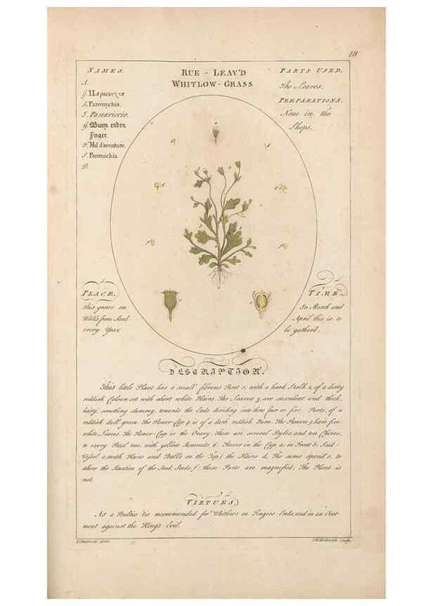 Reproducción/Reproduction 49788406012: Botanicum medicinale :. London :Printed for J. Millan, opposite the Admiralty, Whitehall,[1768?]. 