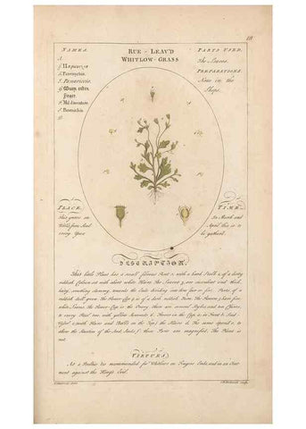 Reproducción/Reproduction 49788406012: Botanicum medicinale :. London :Printed for J. Millan, opposite the Admiralty, Whitehall,[1768?]. 