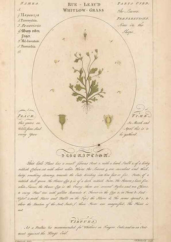 Reproducción/Reproduction 49788406012: Botanicum medicinale :. London :Printed for J. Millan, opposite the Admiralty, Whitehall,[1768?]. 