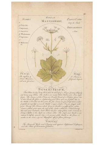 Reproducción/Reproduction 49788406162: Botanicum medicinale :. London :Printed for J. Millan, opposite the Admiralty, Whitehall,[1768?]. 