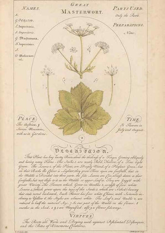 Reproducción/Reproduction 49788406162: Botanicum medicinale :. London :Printed for J. Millan, opposite the Admiralty, Whitehall,[1768?]. 