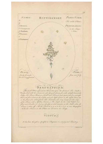 Reproducción/Reproduction 49788406327: Botanicum medicinale :. London :Printed for J. Millan, opposite the Admiralty, Whitehall,[1768?]. 