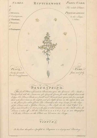 Reproducción/Reproduction 49788406327: Botanicum medicinale :. London :Printed for J. Millan, opposite the Admiralty, Whitehall,[1768?]. 