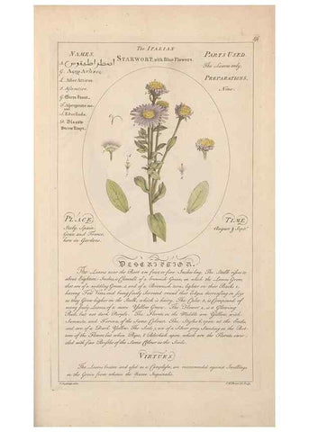 Reproducción/Reproduction 49787545528: Botanicum medicinale :. London :Printed for J. Millan, opposite the Admiralty, Whitehall,[1768?]. 