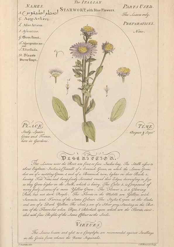 Reproducción/Reproduction 49787545528: Botanicum medicinale :. London :Printed for J. Millan, opposite the Admiralty, Whitehall,[1768?]. 