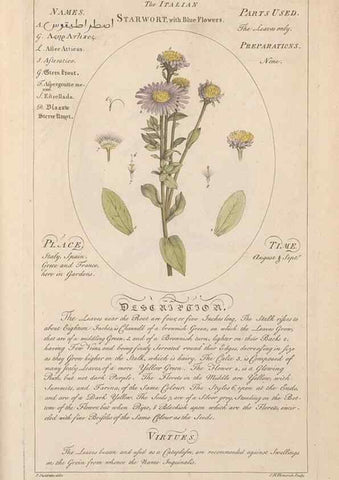 Reproducción/Reproduction 49787545528: Botanicum medicinale :. London :Printed for J. Millan, opposite the Admiralty, Whitehall,[1768?]. 